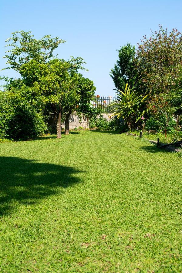 Ritsinia Apartments Éjo Kültér fotó